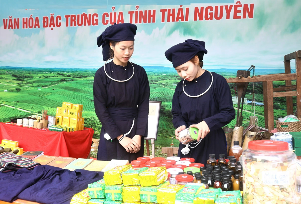 Giữ ‘hồn’ trà Tân Cương qua những thế hệ